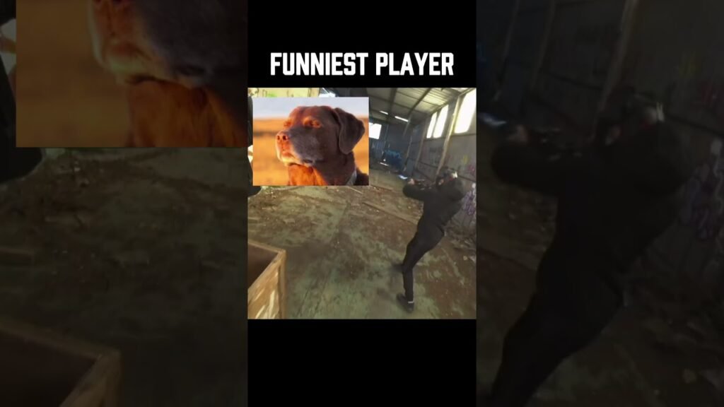 funniest player alive #airsoft #airsoftcqb #warzone #paintballfit #gaming #armsdealer #callofduty